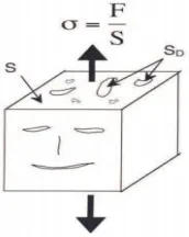 Fig. 1: Steps carried out in Present work 