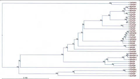 Figure 3 A phylogenetic tree representing the hierarchical clustering of the pairwise similarities between polygalacturonase inhibitingAJ864507),FJ943498),proteins (PGIPs)