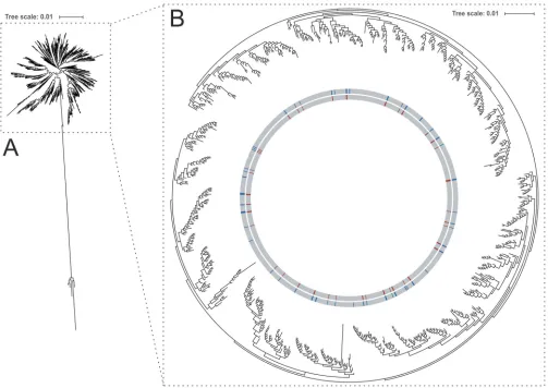 FIG 2 The phylogenetic tree of 852 sequence types (STs) represents the distribution of STs used for cgMLST scheme development within the global STrepresented in the strain collection for scheme deﬁnition are color coded in red