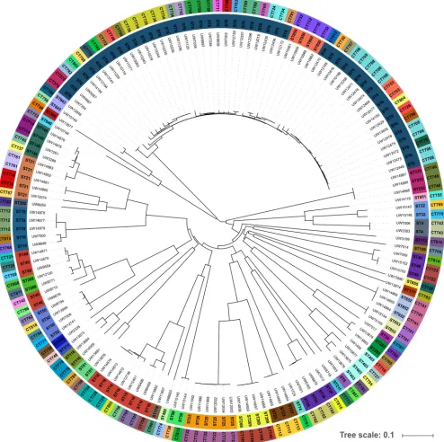 FIG 3 Isolate collection for establishing theSeqSphere E. faecalis cgMLST scheme (n � 146)