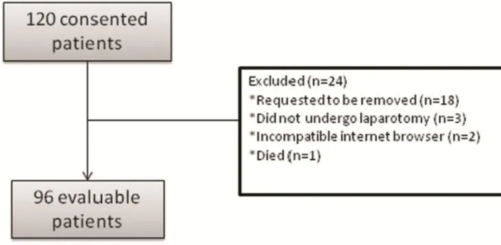 Figure 1. Consort Diagram