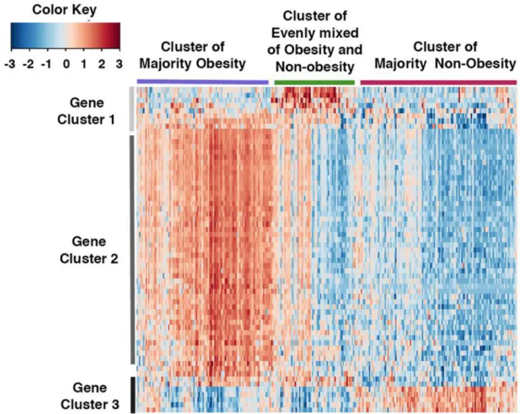 Figure 2. Genomic differences between endometrial cancer tumors from obese versus non-obese  women reveal alterations in metabolically relevant genes