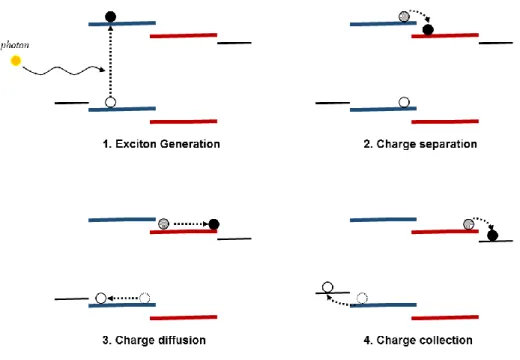 Figure  1.4 Working  mechanism  of  BHJ organic  solar  cell:  Four steps of charge  transfer  process
