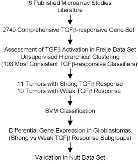 Figure 1Outline of data analysis stepsOutline of data analysis steps.