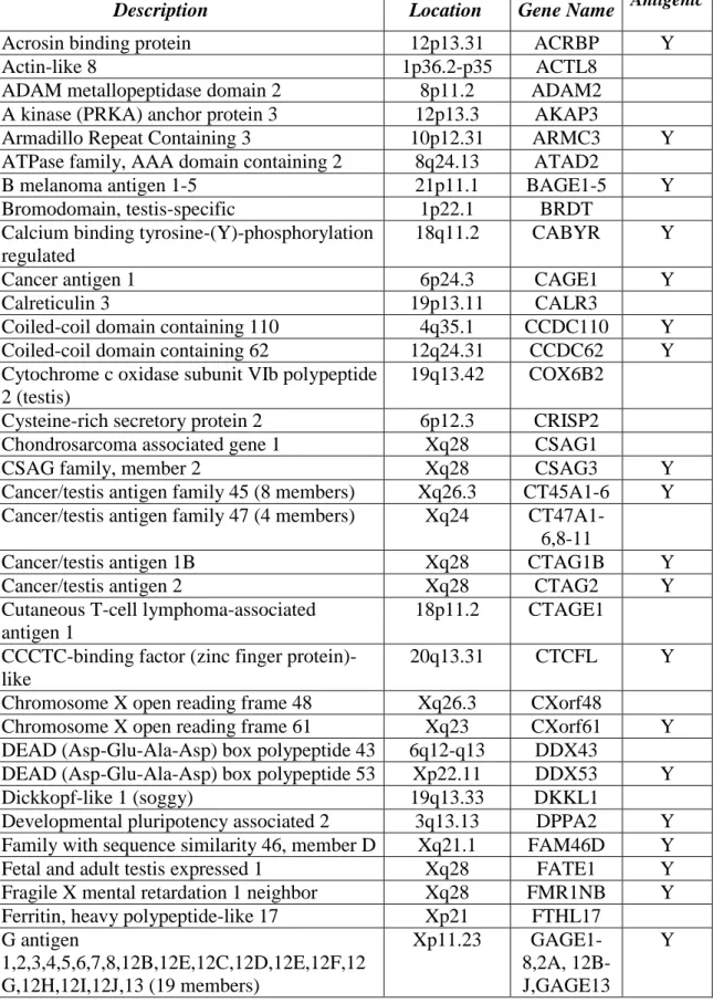 Table 1. Screened Cancer Testis Antigens 