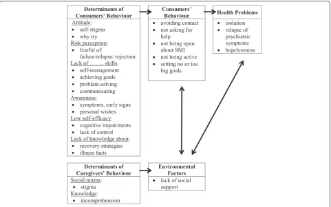 Fig. 1 PRECEDE model of health problems of consumers with SMI