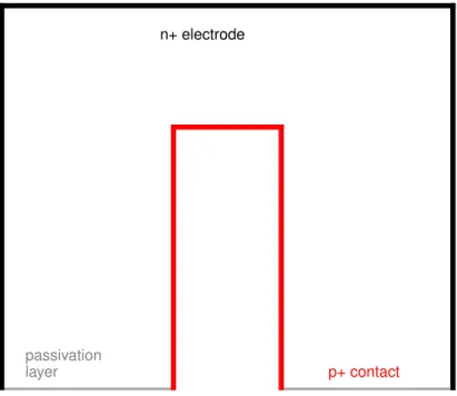 Figure 2.3: Cross-sectional schematic of the coaxial germanium detector geometry. The p+