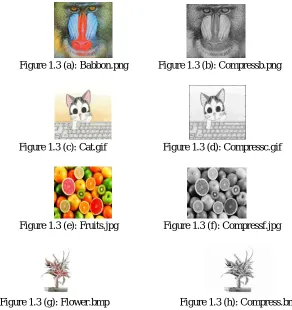 Figure 1.3 (c): Cat.gif 