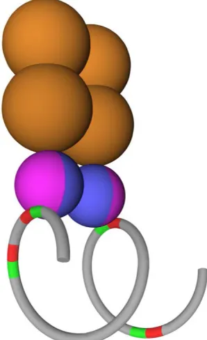 Figure 7: The DNA Loop Preclusion Model. A proposed model is shown for ETS1 and p53 R273H binding to two inverted ETS1 binding sites