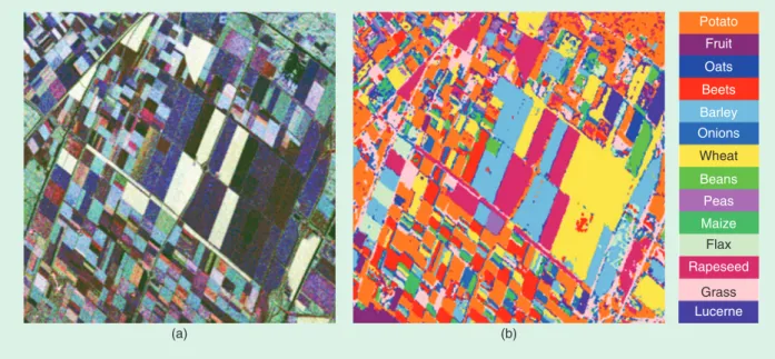 FIGURE 9.  The Flevoland data set. (a) The Pauli RGB of the PolSAR data set. (b) The classification result from [53].