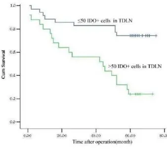 Table 4: The association between survival and TNM stages, and the levels of IDO and Bin1 in patients with colon cancers (N = 60)