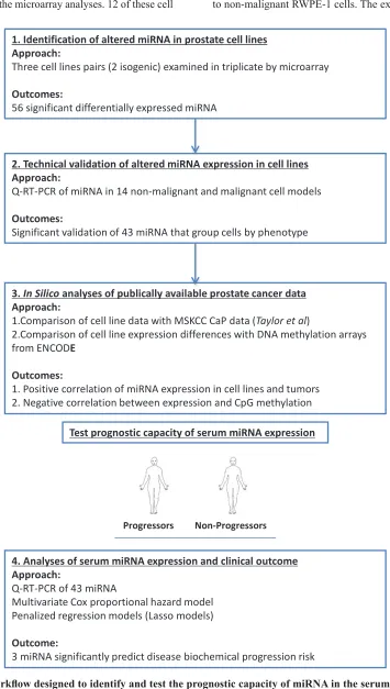 Figure 1: The workflow designed to identify and test the prognostic capacity of miRNA in the serum of patients with CaP.
