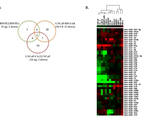 Figure 2: Identification of differentially expressed miRNAs by microarray and Q-RT-PCR in CaP cell lines