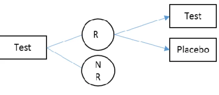 Figure 1.1 Randomized Withdrawal Design   