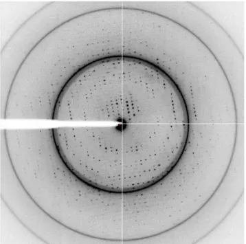 Figure 1.2: Diffraction image from the data set used to solve the Sso10a2 structure presented in Chapter 4