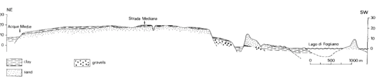 Figure  5.  Cross-section  of the  Latina-Sabaudia  area.  (Sevink  et  al.  1984) 