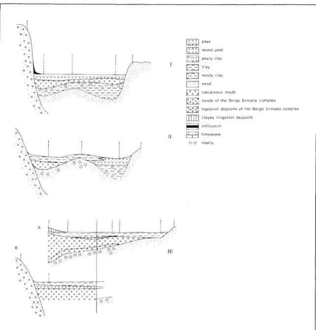 Figure  3.  Cross-sections  I,  II  and  III  of the  recent  coastal  plain  west  of Terracina