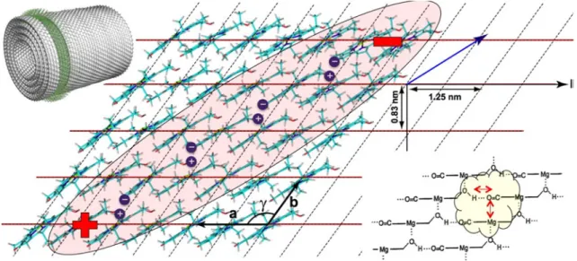 Fig. 3 Chlorosome NMR template structure, illustrating how large polarizability effects are facilitated by the aligned electric dipoles of the individual BChl molecules