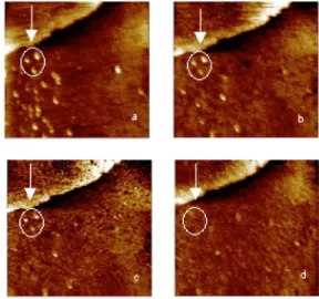 FIG. 4. STM images of Az in air on a Au 共111兲 substrate as a function of bias voltage: 共a兲 ⫹100 mV, 共b兲 ⫹300 mV, 共c兲 ⫹600 mV, 共d兲 ⫹800 mV