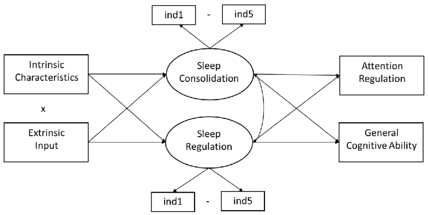 Figure 1. Conceptual model. Circles indicate latent variables while rectangles indicate observed (manifest) variables