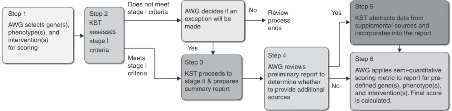 Figure 1  ClinGen Actionability Working Group workflow. AWG, Actionability Working Group; KST, Knowledge Synthesis Team.