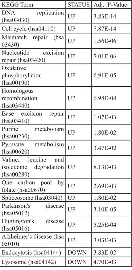 Table 2: Deregulated pathways in RHC MC1R melanocyte-keratinocyte co-culture system.