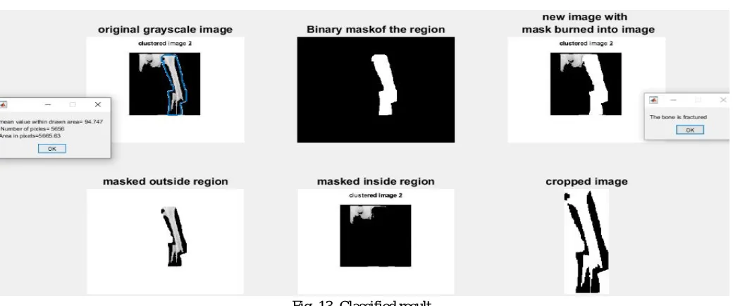 Fig. 13. Classified result 