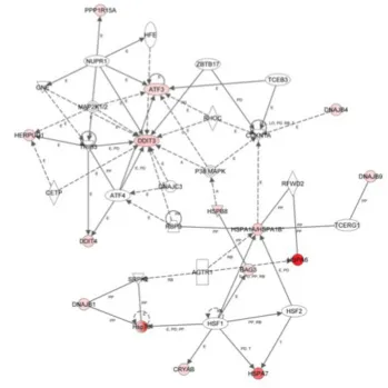 Figure 5: Global changes in gene expression following treatment with ST362 or MEB55. A