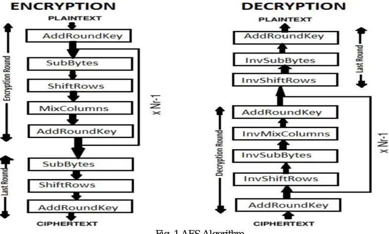Fig. 1 AES Algorithm 