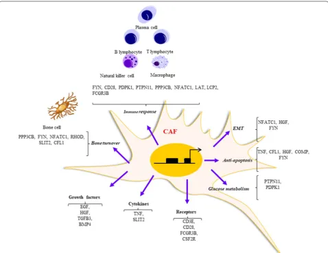 Fig. 9 Functional network of different pathways genes. The functional network created by the genes in the 11 pathways selected and belonging to the subset of uncommon metaMM
