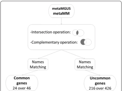 Fig. 6 Workflow of the post-processing procedure. Common and uncommon genes have been extracted from the two obtained subsets and matched with their corresponding gene symbols