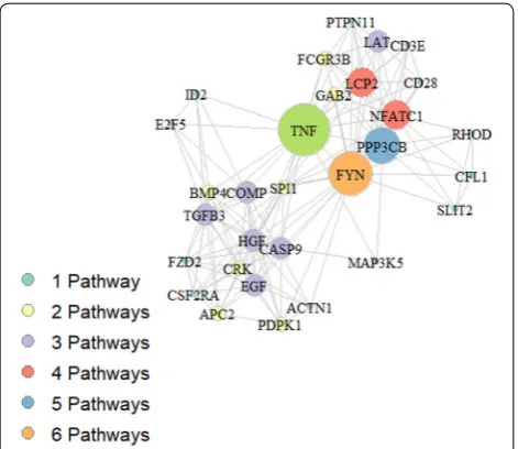 Fig. 7 Network obtained from genes sharing different pathways. Nodes of the graph represent the 30 genes reported in Table 2, the graph edges link genes belonging to the same pathway