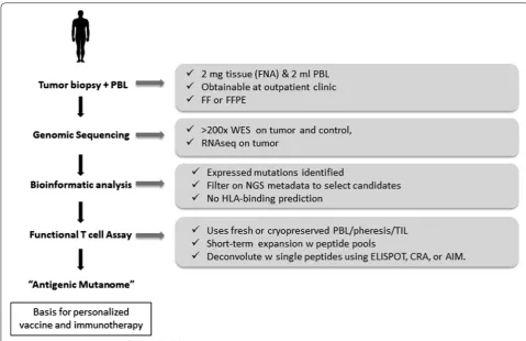 Table 1 Selected potential biomarkers for immunotherapy