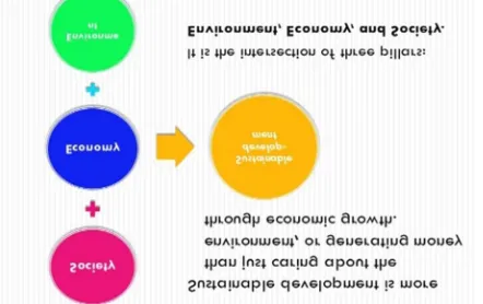 Fig 1. Sustainable development pillars 