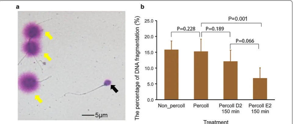 Fig. 5 Effect of selection combined-distance-progesterone on sperm containing DNA fragmentation
