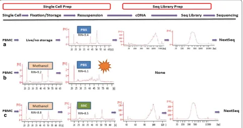 Fig. 1 Experimental workflow of cell preparation and single-cell RNA-Seq. Donor PBMCs that were either live (a) or fixed (b, c) were analyzed their whole transcriptome at a single cell resolution