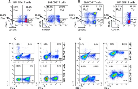 Figure 3: In vitro T-cell Production of IFN-γ. (A) and (B) BM-resident T cells were classified as effector memory (TEM), central memory (CM), naïve (N) or effector (TEFF) T cells based on the expression pattern of CD45RA and CD62L, as previously reported [