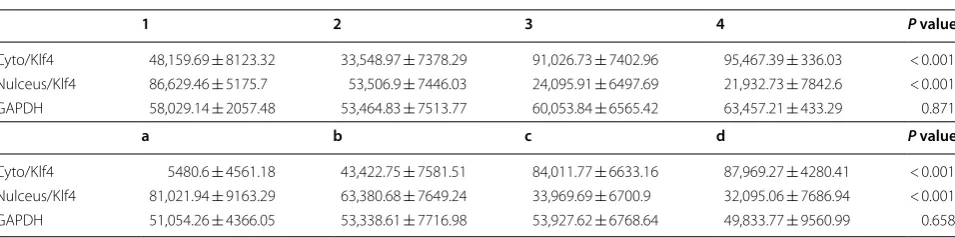 Table 6 Quantified the value of bands of Western blot (Int)