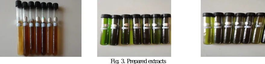 Fig. 2.Soxhlet extractor 