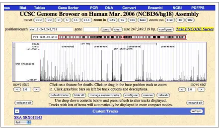 Figure 3.11: Alignments on chromosome 1 for experiment SRX012945 visualized in theUCSC Genome Browser.