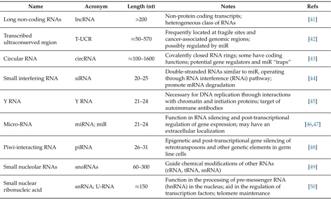 Table 1. Main non-coding RNA (ncRNA) classes, listed according to increasing length (in nucleotides (nt)).