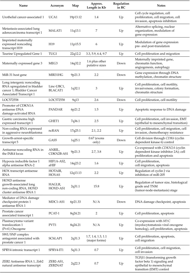 Table 2. Synopsis of the lncRNA with a role in BC formation. These lncRNA were collected either performing a keyword-based PubMed search or from the database Lnc2Cancer; additional information was retrieved from the original papers or from the GeneCards [5