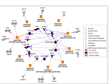 Figure 6: The predicted differentiation-inducing targetome network for the identified 14 differentiation-inducing miRNAs
