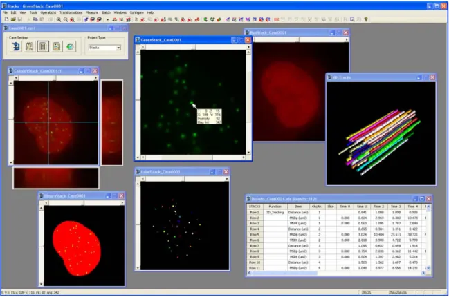 Figure 1.  The desktop of STACKS is shown with the windows of the various stacks. Note that the  window of the color stack is expanded with the cross-sections at the position of the crosshair pointer