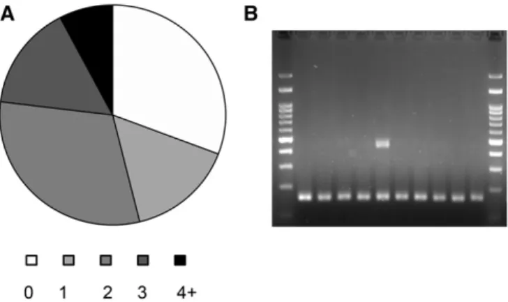 Figure 4 Structural variation hotspots in rad27D strains. (A) Several loci were shown to be different from the consensus sequence in  mul-tiple strains