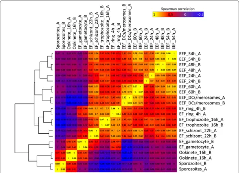 Fig. 1 Clustering of samples of different life cycle stages based on genes with the highest overall high variance (90th percentile, Spearman correlation and hierarchical clustering)