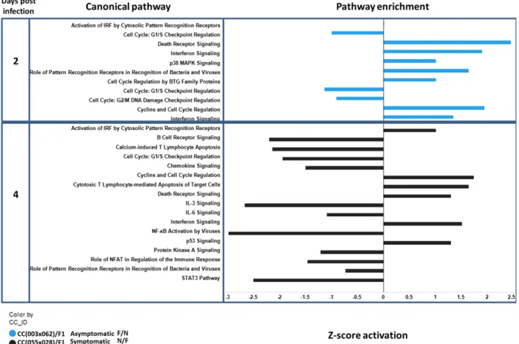 Figure 8 Pathway analysis in the heterozygous Oas1b F1s at day 2 and 4 post-WNV infection