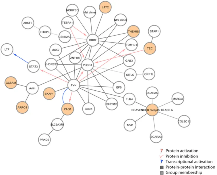 Figure 11 Innate immune regulation network [Oas1b allele (N/N)]. Innate immune regulatory network identiﬁed in F1s with N/N Oas1b alleles.