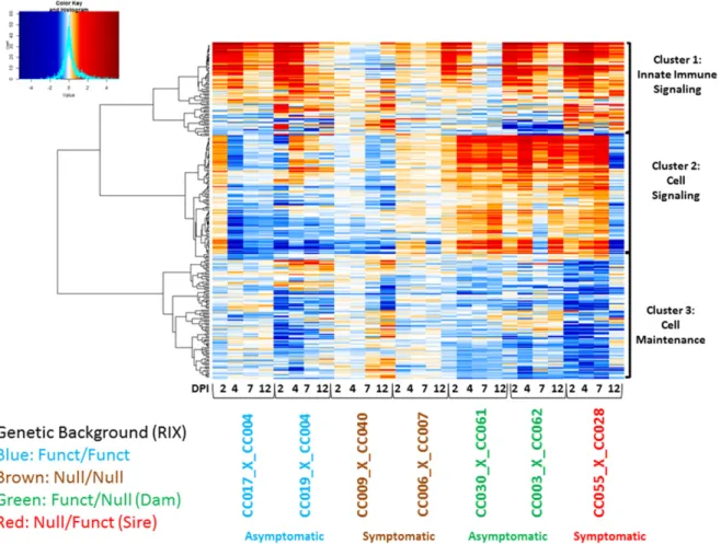 Figure 4 Heatmap of immune disease modules. Coexpression in spleen at days 2, 4, 7, and 12 postinfection