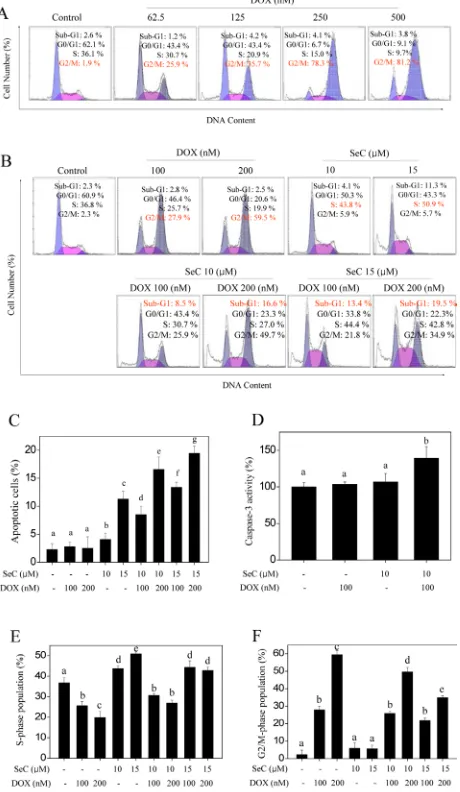 Figure 2: Apoptosis and cell cycle arrest induced by 